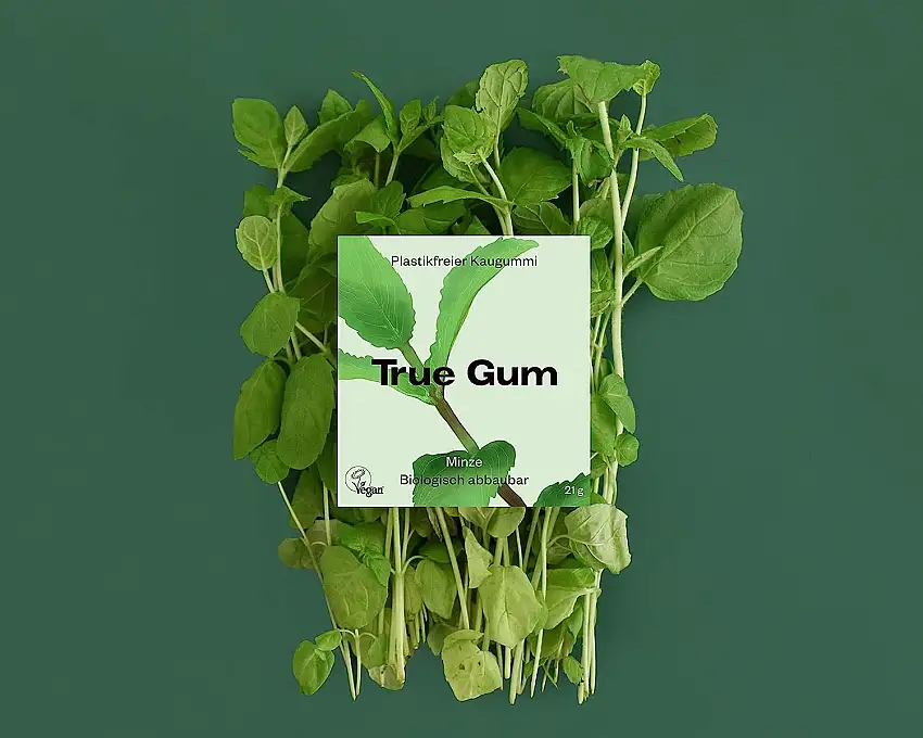 True Gum 10er SET: Minze | Plastikfreier Kaugummi | Biologisch Abbaubar | Vegan | 10 x 21 g, 210 g, TRGU210