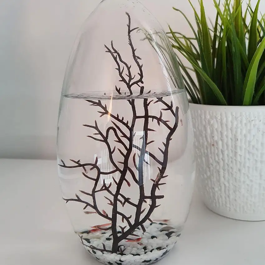 Ecosphere - Großes Ei 19 cm hoch - doppeltes Volumen und doppeltes Anzahl von Garnelen von SP nach einer Techologie der NASA