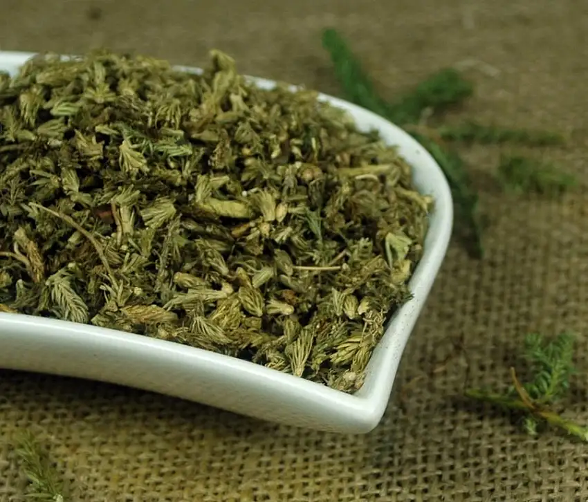 Naturix24 – Bärlappkraut geschnitten - 500g