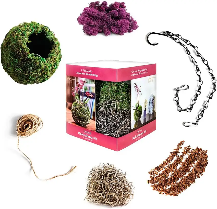 Super Moss 759834904328 Kokedama Kit, Orchid