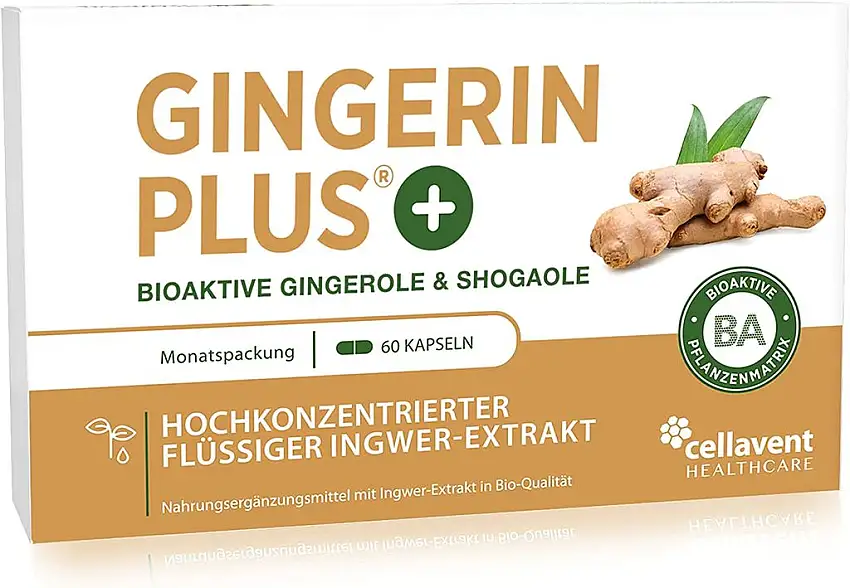 Bio Ingwer Kapseln – 60 Stück – 52.8mg Gingerol und Shogaol – hochkonzentrierter ganzheitlicher Extrakt