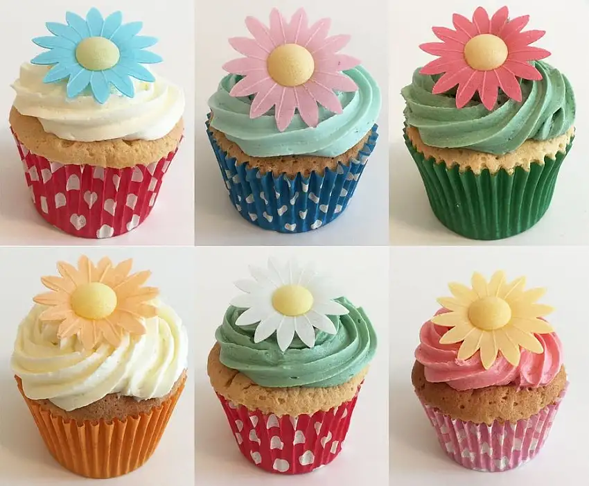 Wunderschöne essbare Kuchendekorationen- 12 Mischfarbene Gänseblümchen / 12 Edible Mixed Colour Daisies