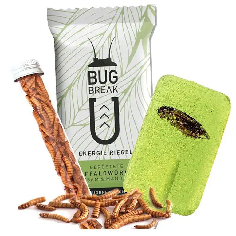 Essbare Insekten Snacks: Mehlwürmer, Insektenriegel & Insektenlutscher - Insekten zum Essen von SNACK insects