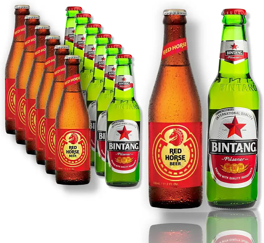 6 x Bintang Bier - Pils aus Indonesien & 6 x Red Horse das Starkbier der Philipinen im Set