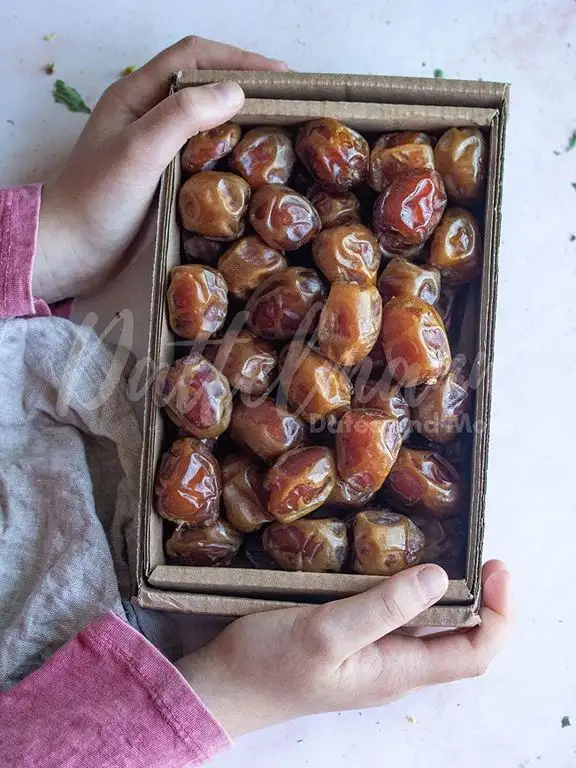 800 g Astaka Datteln Palmyra Delights 100% natürlich & gesund, Premium Qualität