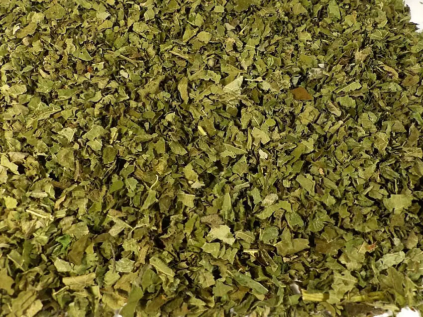 Brombeerblätter grün Naturideen® 100g