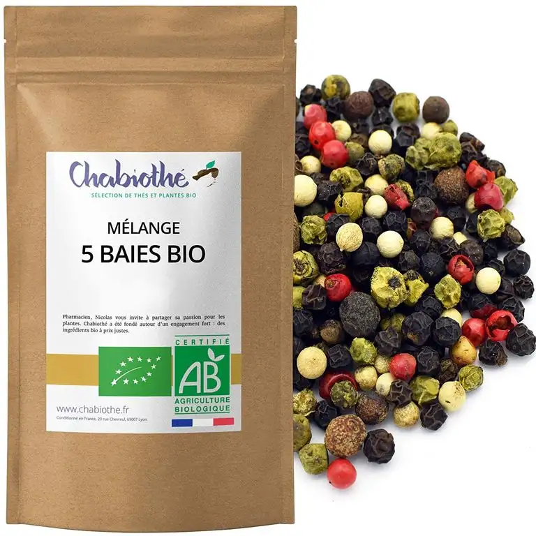 BIO Bunter Pfeffer Gewürzmischung (5 Beeren) 100g