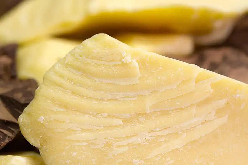 Kakaobutter BIO zertifiziert kaltgepresst in Lebensmittel Rohkost-Qualität 100% rein, 100g