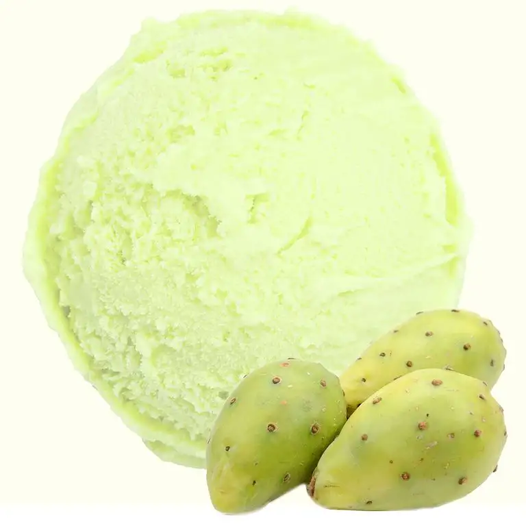 Kaktus Geschmack 333 g Gino Gelati Eispulver für Ihre Eismaschine