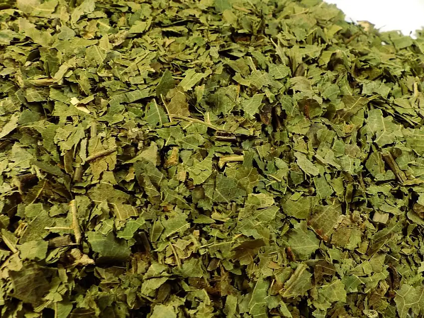 Walnussblätter geschnitten Naturideen® 100g