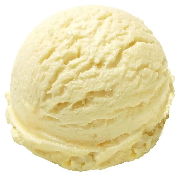 Französische Vanille Geschmack 1 Kg Gino Gelati Eispulver für Fruchteis Softeispulver Speiseeispulver