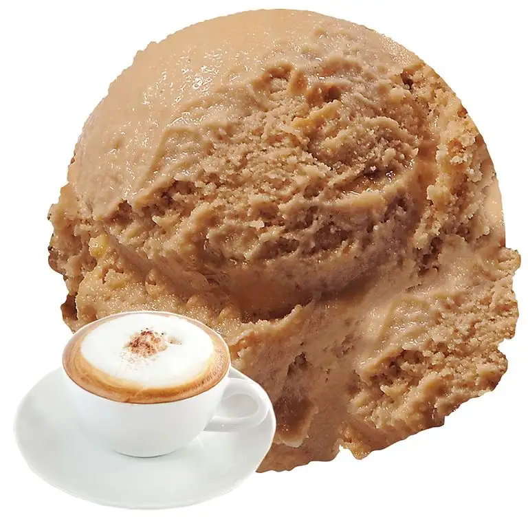 Cappuccino Geschmack 333 g Gino Gelati Eispulver für Ihre Eismaschine