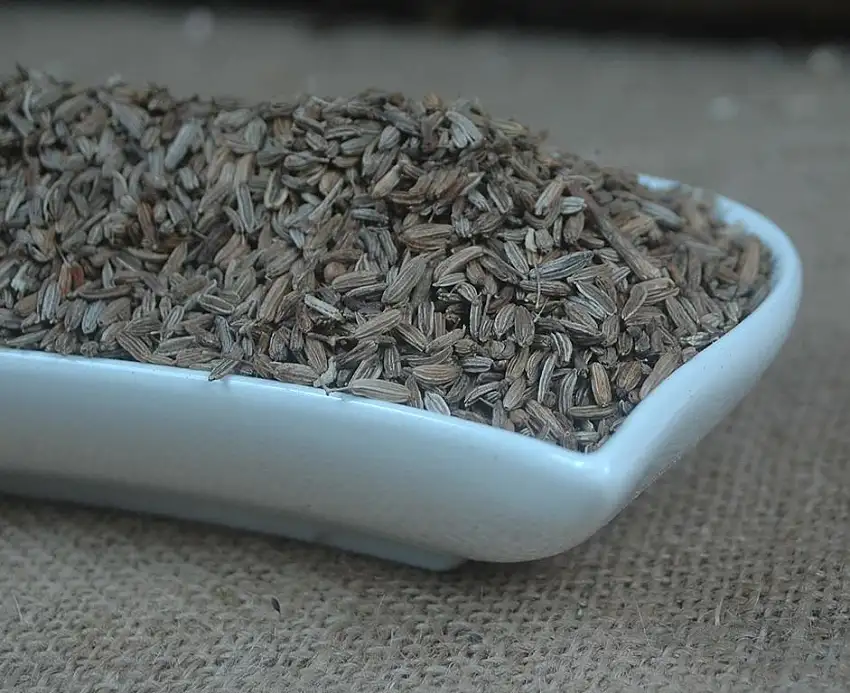 Naturix24 – Fenchel braun bitter ganz - 250 g