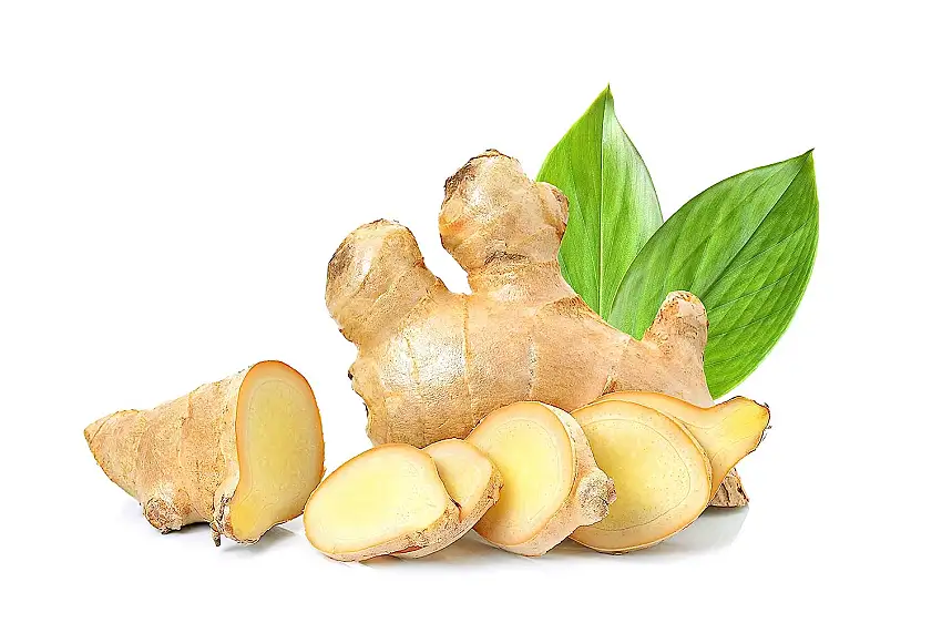 Bio Ingwer | Frischer Ingwer aus biologisch zertifiziertem Anbau | Fresh Ginger (Biologisch, 1000 g)