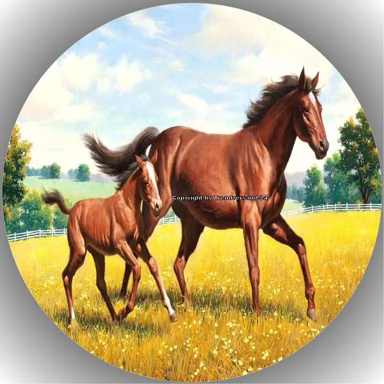 Premium Esspapier Tortenaufleger Pferd/Pferde T8