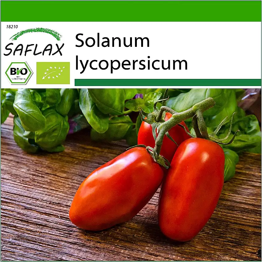 SAFLAX - BIO - Tomate - San Marzano - 15 Samen - Solanum lycopersicum