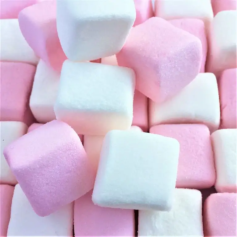 100% Natürlich Gefärbte Marshmallows Rosa Weiße Würfel (1 Kilogramm) Flauschige und Leckere Vanille Schaumzucker von Hoosier Hill Farm