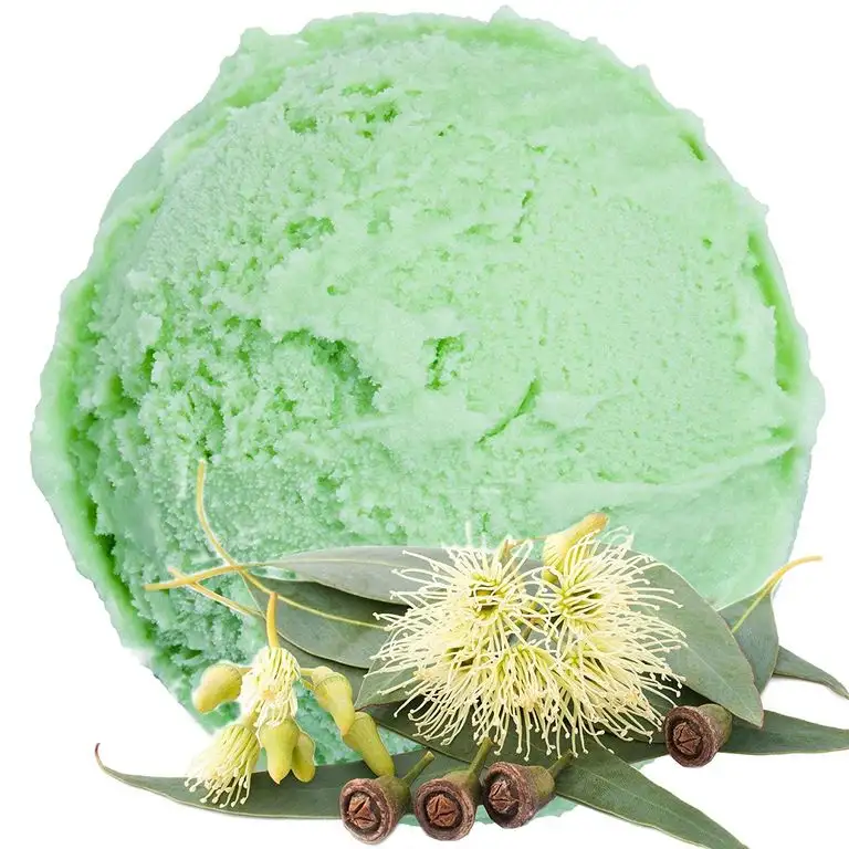 Eukalyptus Geschmack Eispulver VEGAN - OHNE ZUCKER - LAKTOSEFREI - GLUTENFREI - FETTARM, auch für Diabetiker Milcheis Softeispulver Speiseeispulver Gino Gelati (Eukalyptus, 333 g)