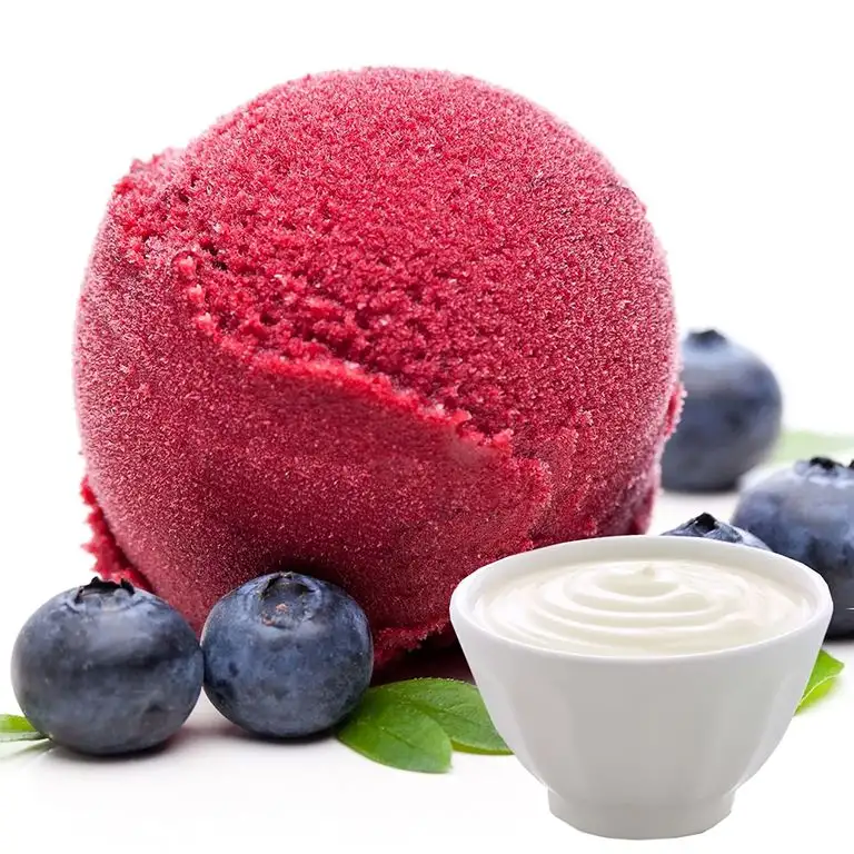 Joghurt Heidelbeer Geschmack 333 g Gino Gelati Eispulver für Ihre Eismaschine