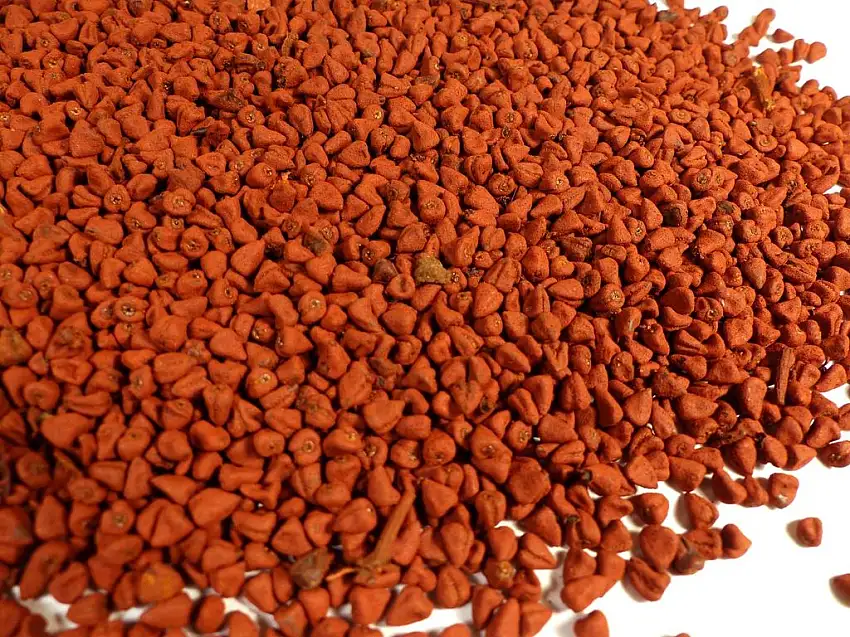 Annatto ganz Naturideen® 100g