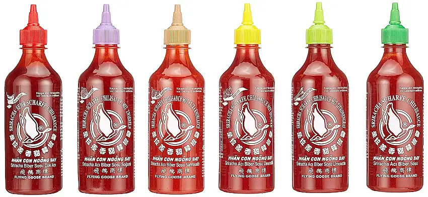 Flying Goose Sriracha scharfe Chilisaucen Mischkarton (in 6 Geschmacksrichtungen, Würzsaucen aus Thailand zum Würzen, Dippen und Verfeinern) 6er Pack (6 x 455ml)