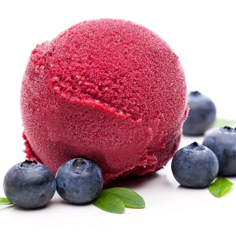 Heidelbeer Geschmack 1 Kg Gino Gelati Eispulver für Speiseeis Softeispulver Speiseeispulver