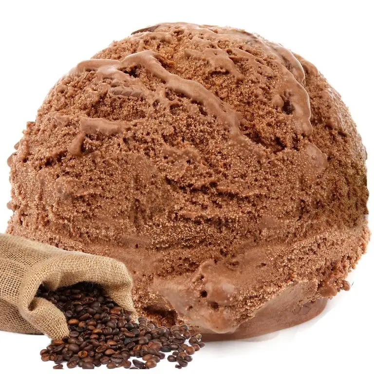 Coffeefee Schoko Geschmack Gino Gelati Eispulver für Speiseeis Softeispulver Speiseeispulver (Coffeefee Schoko, 333g)