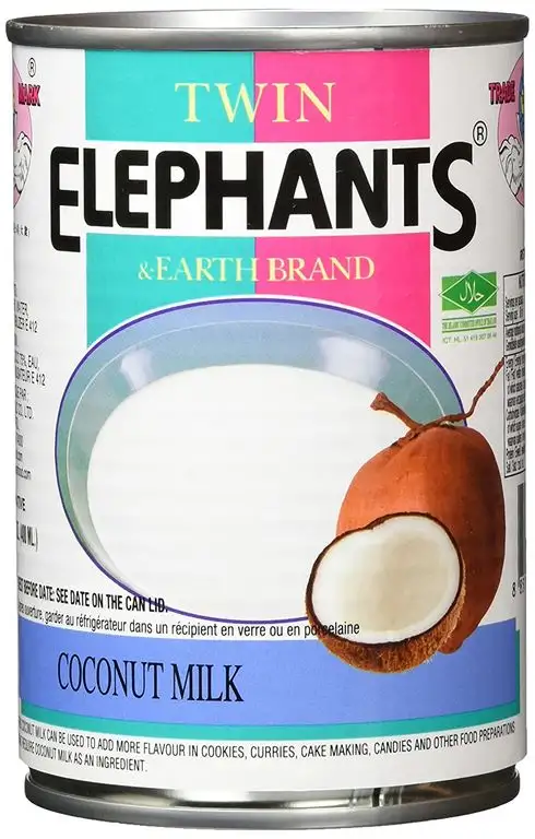 Twin Elephant Earth Kokosmilch 19%, 12er Pack (12 x 400 ml)
