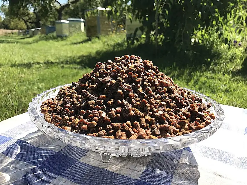 500g. Bienenbrot, Perga, Fermentierter Blütenpollen, Roh & Naturlich, Ohne Konservierungsstoffe, Ohne Gentechnik, Geeignet für Vegetarier, 500g., 2020 Ernte