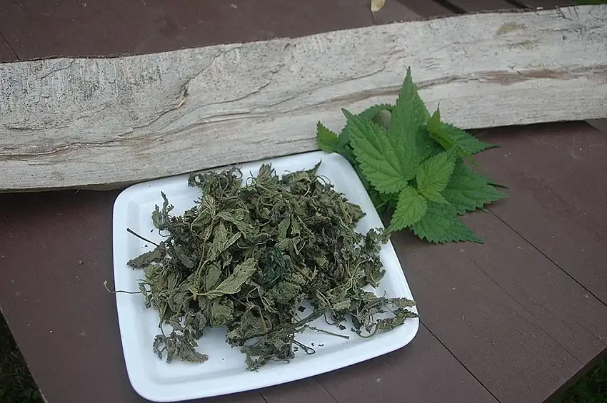 Naturix24 – Brennnesseltee, Brennesselblätter ganz – 100 g Beutel
