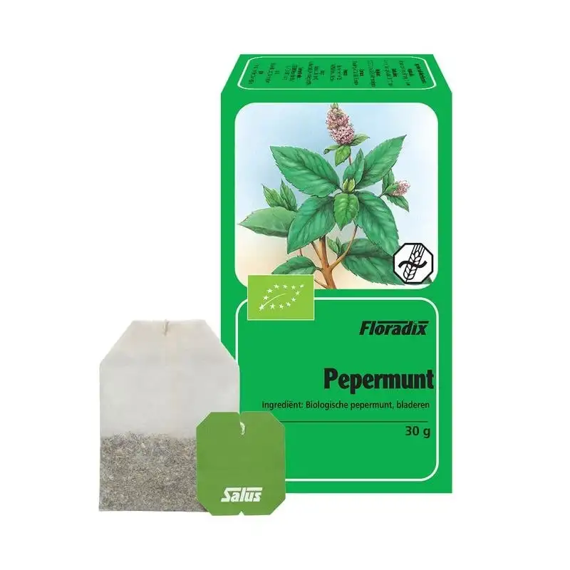 Salus Pfefferminztee bio (15 Beutel)