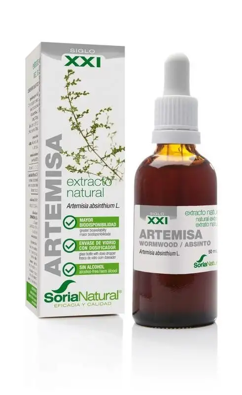 Artemisia vulgaris XXI Extrakt 50 Ml