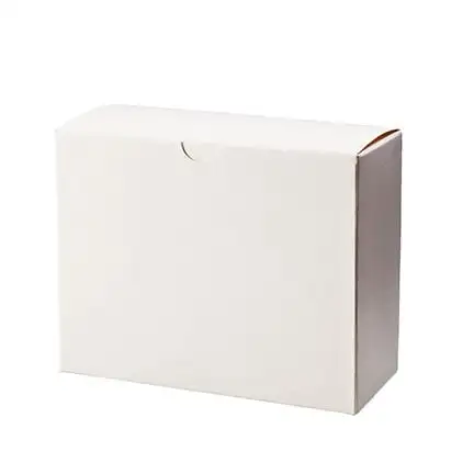 Spruyt Hillen Ampullen Faltschachtel 10 x 10 Ml (500 Stück)