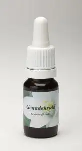 Star Remedies Barmherzigkeitskraut (10 Ml)
