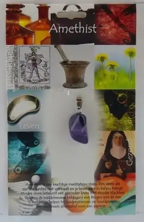 Steengoed Anhänger Gesundheitsstein Amethyst (1 Stück)