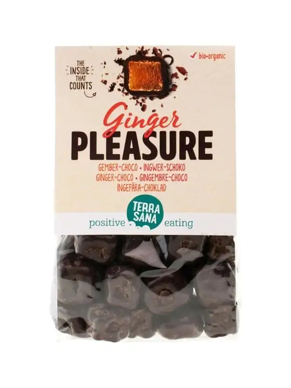 Terrasana Ingwer-Genuss-Schokolade bio (150 gr)