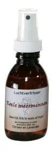 Verillis Cool Mermaid Lufterfrischer (110 Ml)