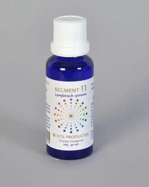 Vita Segment 11 Lymphsystem (30 Ml)