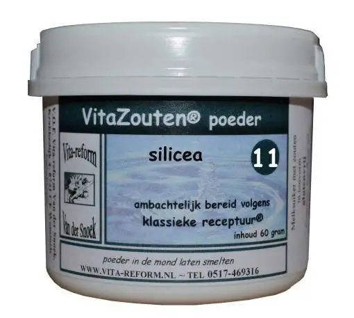 Vitazouten Kieselerdepulver Nr. 11 (60 g)